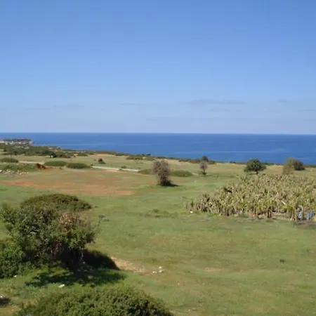 فيلة Cynthia بييا